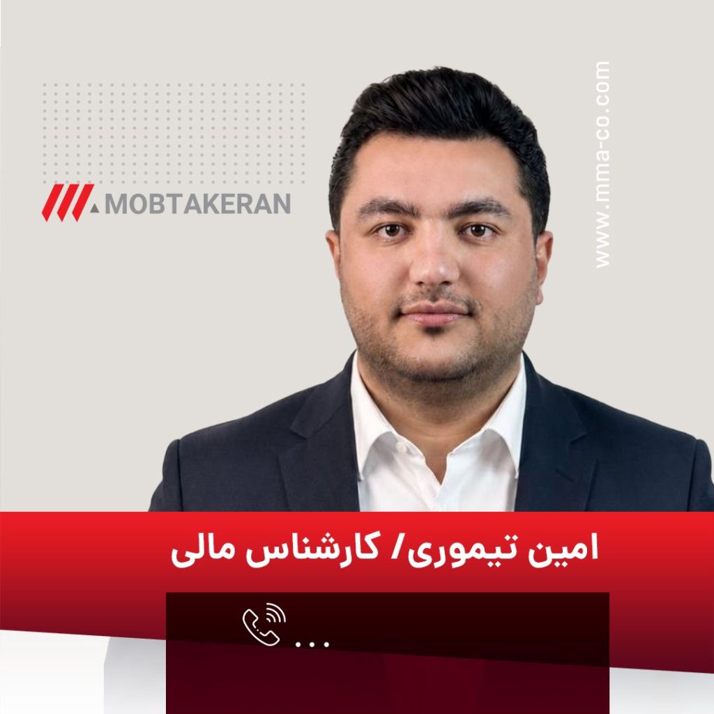 امین تیموری، کارشناس مالی